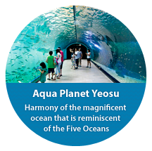Aqua Planet Yeosu, Harmony of the magnificent ocean that is reminiscent of the Five Oceans