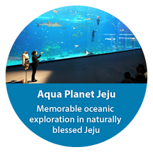 Aqua Planet Jeju, Memorable oceanic exploration in naturally blessed Jeju