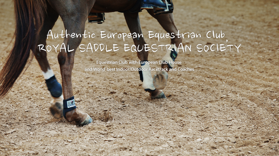 Authentic European Equestrian Club, ROYAL SADDLE EQUESTRIAN SOCIETY. Equestrian Club with European Club House 
and World-best Indoor/Outdoor Racetrack and Coaches