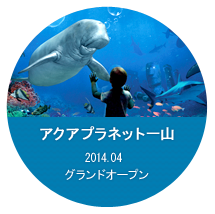Pangyo iQuarium, Enjoy a digital aquariumon your mobile device.